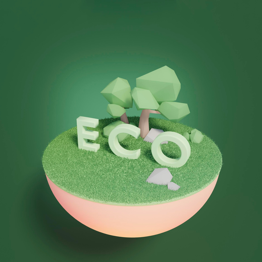 Why Choose Compostable Products Over Traditional Plastics?